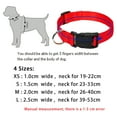 thumbnail image 5 of Pet Artist Adjustable Durable Nylon Dog Collar with Quick-Fit Buckle and D-Ring - Multiple Colors Available, 5 of 6