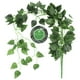 thumbnail image 3 of OUNONA - 1 pieza de hojas artificiales de Scindapsus, hiedra, plantas de enredadera para decoración del hogar, interior y exterior (hojas de Scindapsus), 3 of 6
