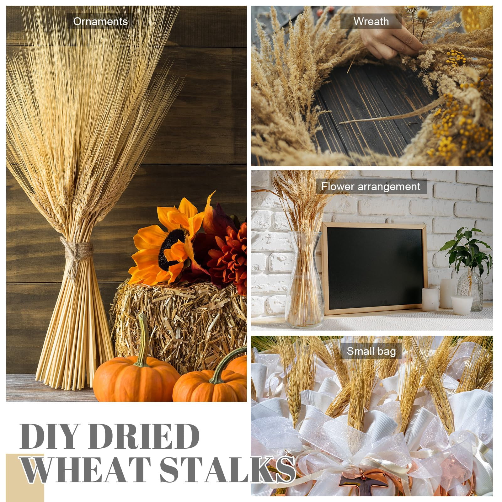 600 Stems Dried Wheat Stalks for Decor Natural Wheat Grass Sheaves Bundle Farmhouse Artificial Flowers Arrangement for DIY Wedding Table Home Centerpieces Party Decorative (16 Inch)