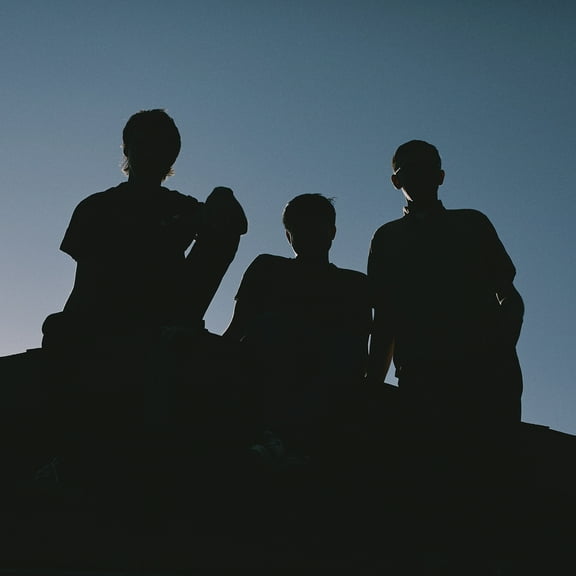 Joyce Manor - 40 oz. to Fresno (Opaque Pink) - Music & Performance - Vinyl