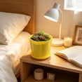 thumbnail image 4 of romoty Flower Petal Shaped Plastic Plant Pot with Saucer Yellow, 6.3 in Lightweight Decorative Succulent Planter with Drainage Hole for Indoor Outdoor Desk Garden Decor, 4 of 6