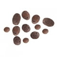 thumbnail image 2 of Clay Pebbles for Hydroponic Growing, 100g 4mm -15mm Light Organic Clay Balls for Plants Aquaponics and Hydroponics Growing, 2 of 7