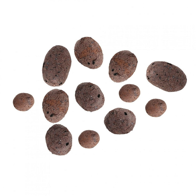  D'vine Dev Ceramic Planter Filler Balls 3qt, Expanded Porous  Clay Pebbles Beads for Hydroponic, Gardening, Orchids : Patio, Lawn & Garden