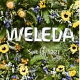thumbnail image 2 of WELEDA Baby Body Lotion &amp; Shampoo Body Wash, 6.8 Ounce (Pack of 2), 2 of 6