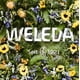 thumbnail image 2 of WELEDA Baby Body Lotion &amp; Shampoo Body Wash, 6.8 Ounce (Pack of 2), 2 of 6