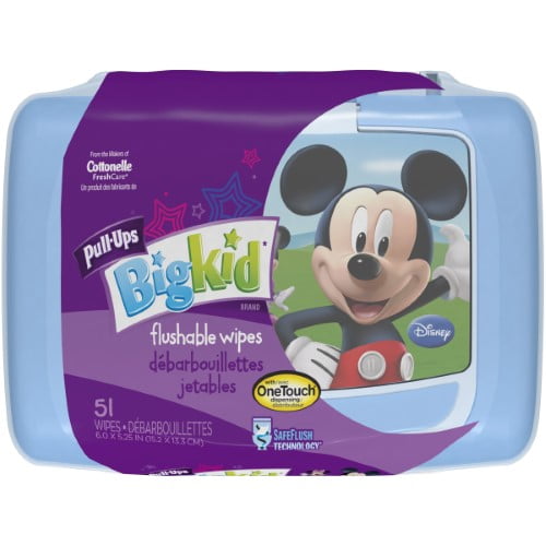 pull ups flushable wipes