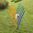 thumbnail image 4 of Training Dog  Training Pole, Pet Dog  Training, For Pet Dog, 4 of 8