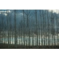 thumbnail image 2 of Berzel, Erin 24x17 Gold Ornate Wood Framed with Double Matting Museum Art Print Titled - Pacific Albus and Clouds I, 2 of 4