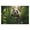 300, variant on Puzzles for Adults 300 Pieces - Cartoon Wild Animal Nature Fun Brain Puzzle Lovers Challenging and Relaxing Gifts Idea