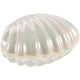 thumbnail image 5 of KAKOWELY Caja de dulces con forma de concha, contenedor de almacenamiento de conchas, joyero, recuerdo de fiesta de boda, 5 of 5