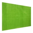 thumbnail image 1 of HAMPPLIES Outdoor Grass Rug Light Green Plastic Material 1Set for Model Makers Educational Displays, 1 of 6