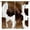 Style-1, variant on Cow Print Curtains, Animal Fur Skin Curtains Brown Cowhide Western Farm Window Treatments for Kids, Wild Animal 3D Print Rustic Hunter Theme 2 Panel Sets, 84x84 Inch