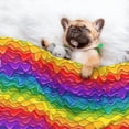 thumbnail image 3 of Pofeuu Bright Rainbow Print Puppy Blanket,Dog Blankets,Pet Blanket Cozy Cat Blankets for Indoor Cats, Fuzzy Pet Blanket for Kitten Doggy Dog Blankets-Large, 3 of 8