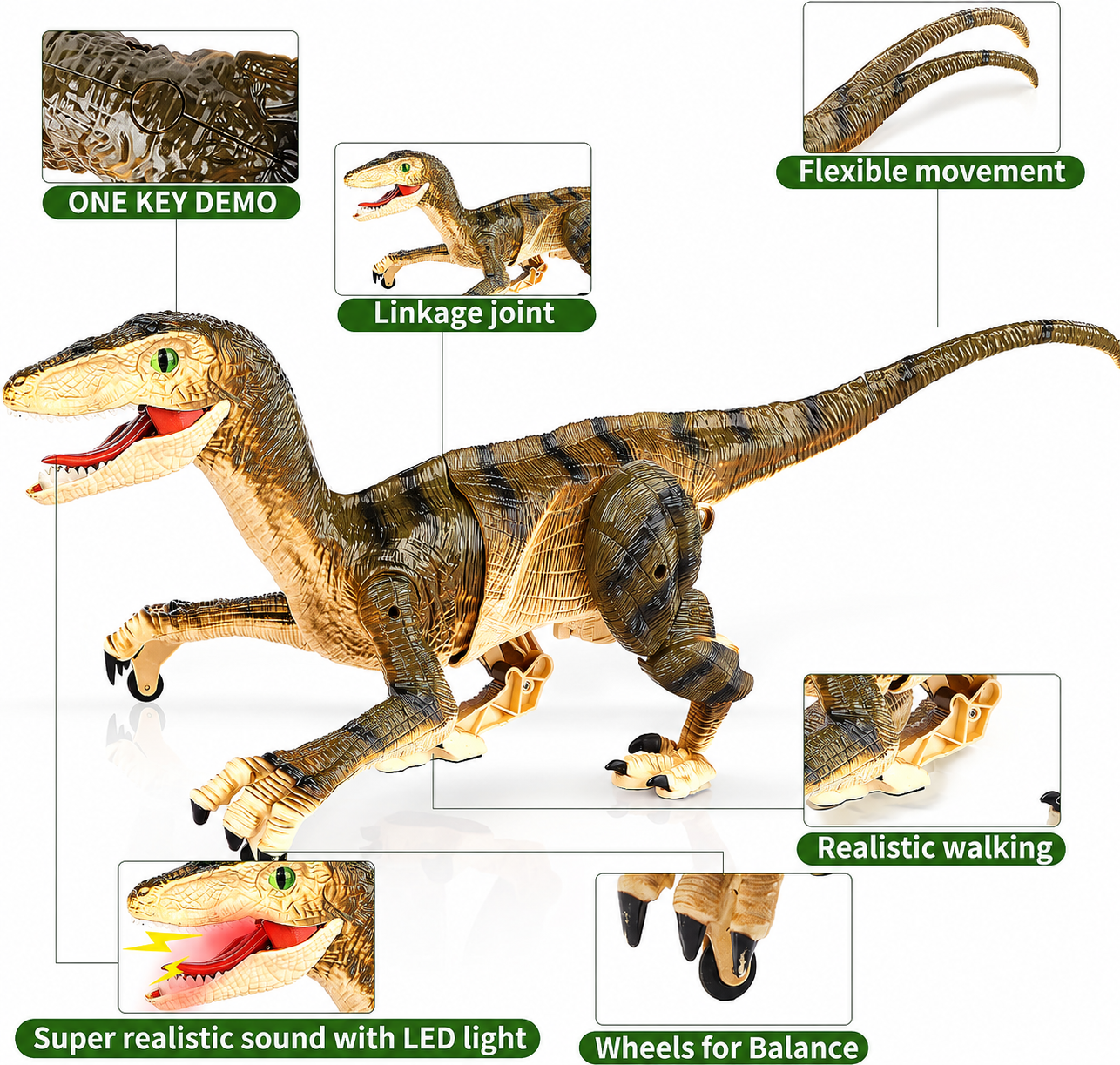 JBeeCtrl Remote Control Walking Dinosaur Toy photo 3