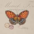thumbnail image 2 of Barrett, Chad 26x26 Gold Ornate Wood Framed with Double Matting Museum Art Print Titled - Butterfly Species 1, 2 of 4