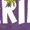 HEATHER PURPLE, variant on The Grinch - Little - Toddler Girls Fitted Short Sleeve T-Shirt