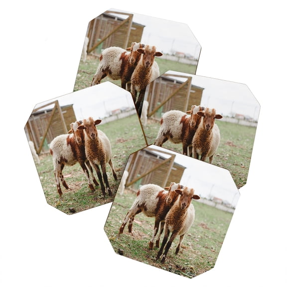 Society6 Hello Twiggs Counting Sheep Set of 4 Coasters
