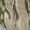 Cobblestone, variant on Crocs Unisex Offroad Sport Clogs