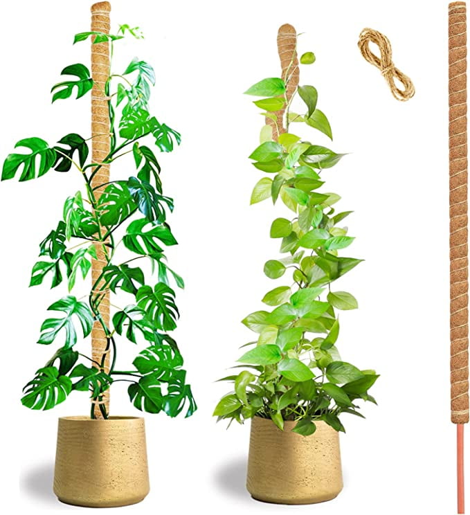 Tall Moss Pole,Natural Coco Coir Pole,1 Pack 45 Inch Bendable Moss