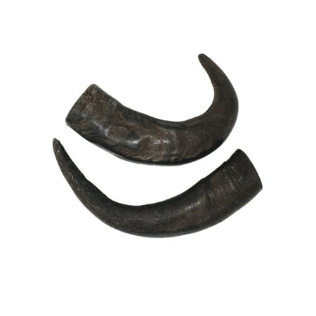 UPC: 0759170116218 | peaksNpaws Premium Water Buffalo Horns for Dogs – Free Range and Grass Fed – High in Protein  Low in Fat – Medium 2-Pack