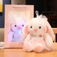 thumbnail image 2 of 1 pieza pequeño conejo blanco de peluche lindo vestido de princesa muñeca de conejo año del conejo mascota muñeca actividad regalo regalo femenino (rosa, 32 cm) Sincero Electrónica, 2 of 5