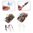 thumbnail image 3 of 2 piezas mini flores secas, 3 of 3