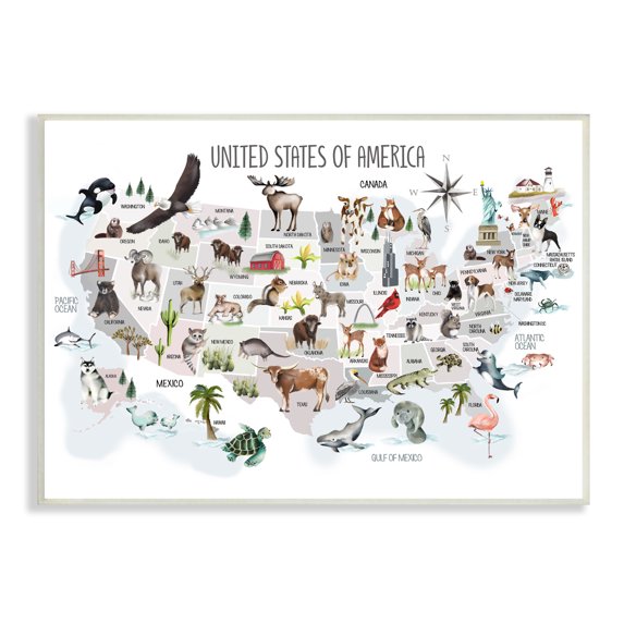 Stupell Industries United States of America Map of Animals Kid's Illustration, 10 x 15, Designed by Studio Q