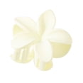 thumbnail image 4 of 6 uds. Pinzas para el cabello de flores mate, pinzas para el cabello antideslizantes para mujeres, lindos Accesorios para peinados JM, 4 of 5