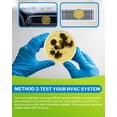 thumbnail image 4 of Kit de prueba de moho Fraliba 6 pruebas de detección para el hogar con análisis de laboratorio, 4 of 7
