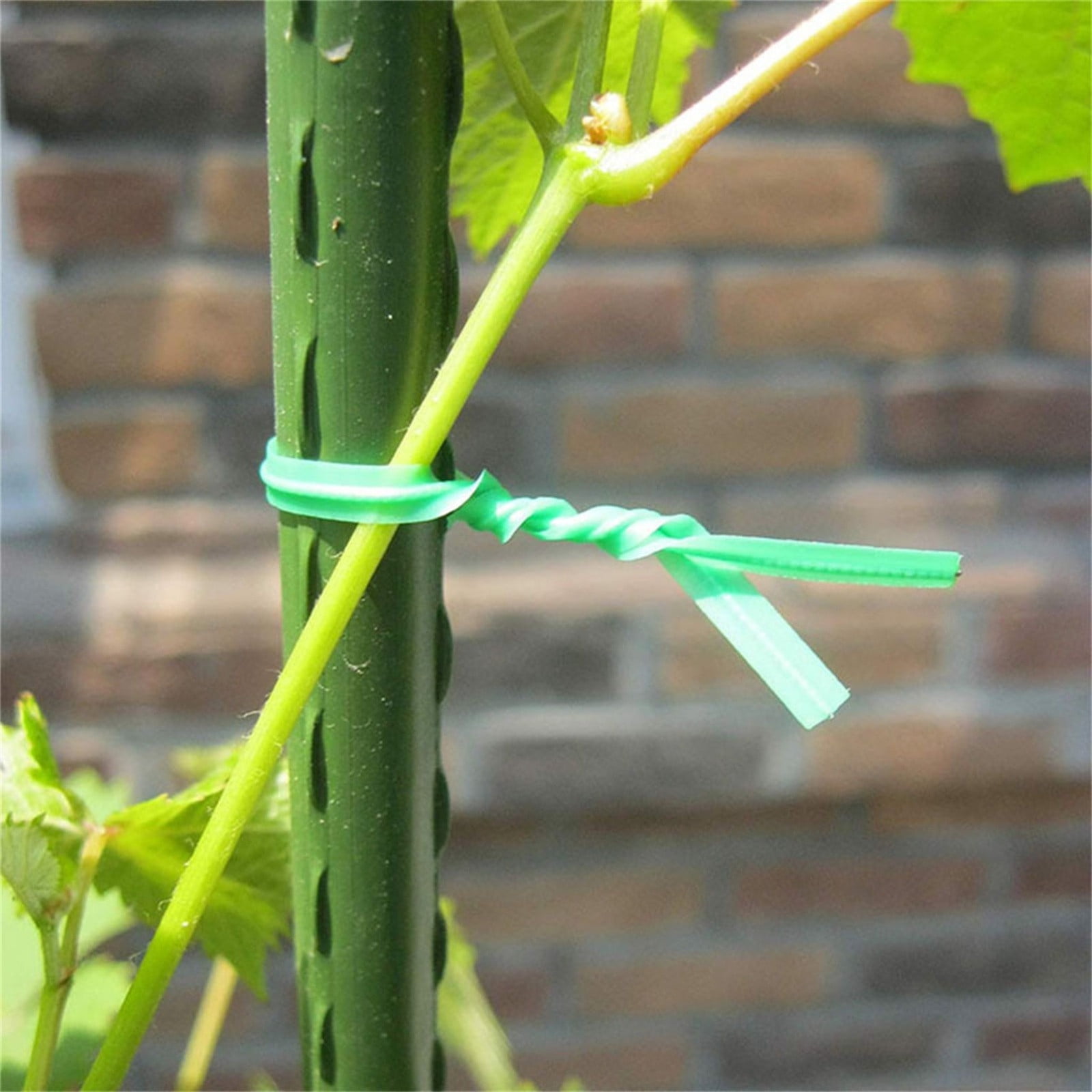 10 cm - Vert-100pcs - Attaches de câble de jardinage rondes, fil de fer réutilisable, torsadé 10 cm - Vert-100pcs - Attaches de câble de jardinage rondes, fil de fer réutilisable, torsadé