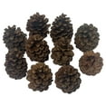 thumbnail image 3 of Holiday Time Cinnamon Fragranced Brown Pinecones 8oz, 3 of 5
