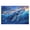 300, variant on Puzzles for Adults 500 Pieces - Beautiful Whale Best Challenging Puzzles for Cognitive Workout - Safe Eco-Friendly - Most Popular Leisure Activities