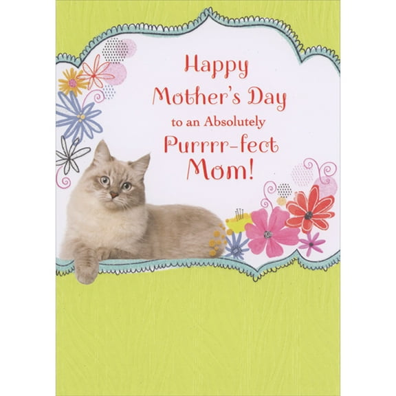 Designer Greetings Absolutely Purrrr-fect Mom: Photo of Cat, Flowers on Light Green Background Mother's Day Card from Cat