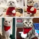 thumbnail image 5 of Gorro, bufanda y traje de Papá Noel para mascotas Ropa navideña para perros y gatos, 5 of 5