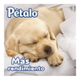 thumbnail image 4 of Papel higiénico Pétalo Maxi Resist 32 rollos de 220 hojas dobles c/u, 4 of 4