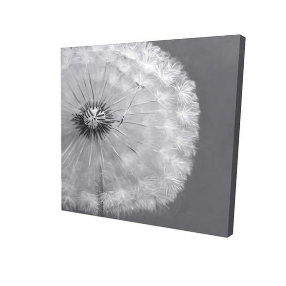 Begin Home Decor 2080-1616-FL127 16 x 16 in. Dandelion Puff Ball-Print on Canvas