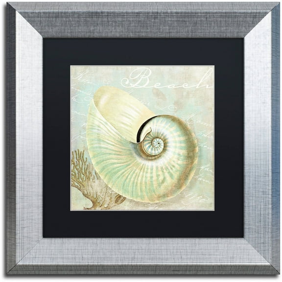 Trademark Fine Art "Turquoise Beach IV" Canvas Art by Color Bakery Black Matte, Silver Frame
