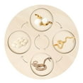 thumbnail image 2 of de Ciclo de de Vida Montessori Temprano # Educativo para Niños en Edad Preescolar , Serpiente Salvador Tablero de ciclo de vida, 2 of 9