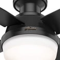 thumbnail image 3 of Hunter Fan Company Dempsey 44" Low Profile Ceiling Fan with Light, 3 of 6