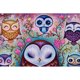thumbnail image 1 of Cuadros Decorativos (DF3869) 5D DIY completo taladro diamante pintura búho bordado mosaico Kit dormitorio decoración 20X30cm Ehuebsd embutido en tela, 1 of 1