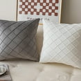 thumbnail image 3 of New Combo Set of 2 Pillow Covers With Inserts II, 3 of 5