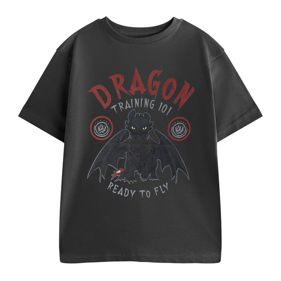 How To Train Your Dragon Boys Training 101 Short-Sleeved T-Shirt