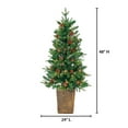 thumbnail image 3 of Sterling Charming 4 Foot Potted Natural Cut Georgia Pine, 3 of 5