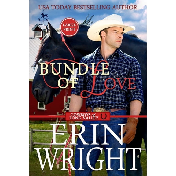 Cowboys of Long Valley Romance - Large P Bundle of Love: An Office Contemporary Western Romance (Large Print), Book 7, (Paperback)
