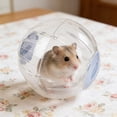 thumbnail image 5 of Large Hamster Wheel Sport Running Ball Hamster Toys for Hamsters Guinea Pig Mice Ferret Small Pet 7.3” x 7.3” x 7.3”, 5 of 9