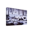 thumbnail image 2 of Trademark Fine Art 'Hardwood Creek Wild Turkeys' Canvas Art by Wilhelm Goebel, 2 of 3