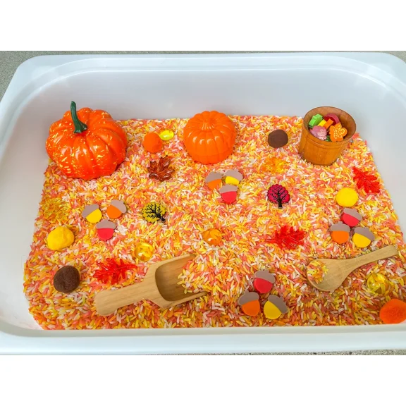 Fall Rice Sensory Bin
