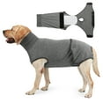 thumbnail image 1 of Amdohai Dog Recovery Suit with 2 PCS Nappies Diaper Surgery Recovery Shirt for Female Male, 1 of 8