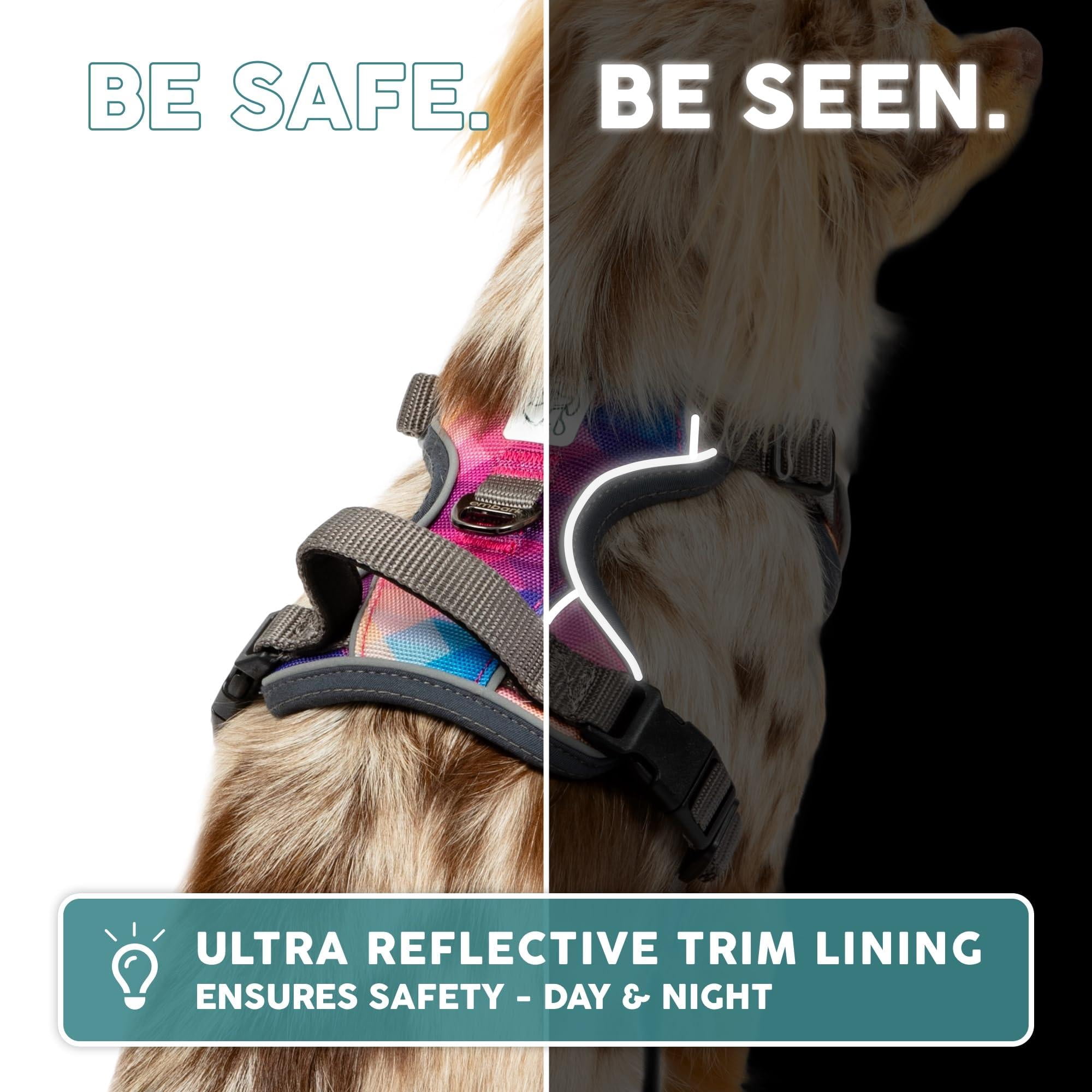 Embark Adventure Dog Harness For Small  Medium & Large Dogs - No Pull Reflective Trim Heavy Duty Oxford 2 Leash Clips Gel-lined Handle Soft Padded