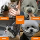 thumbnail image 3 of 2 Collar de perro Cono Collar de recuperación de mascotas ajustable Cómodo Cono de gatito Anti-mordedura, 3 of 4